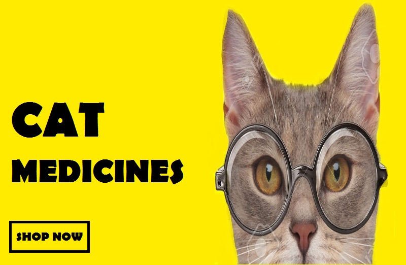 Pets Medicines Home Page